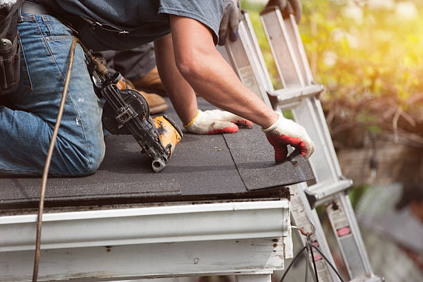 Best Metal Roofing Contractor  in Augusta, KY